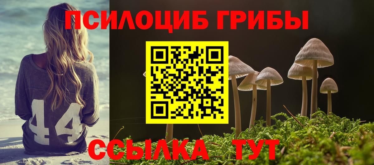 Биробиджан  Псилоцибиновые грибы Psilocybine cubensis  наркота  Галлюциногенные грибы Psilocybe  Вход с VPN 