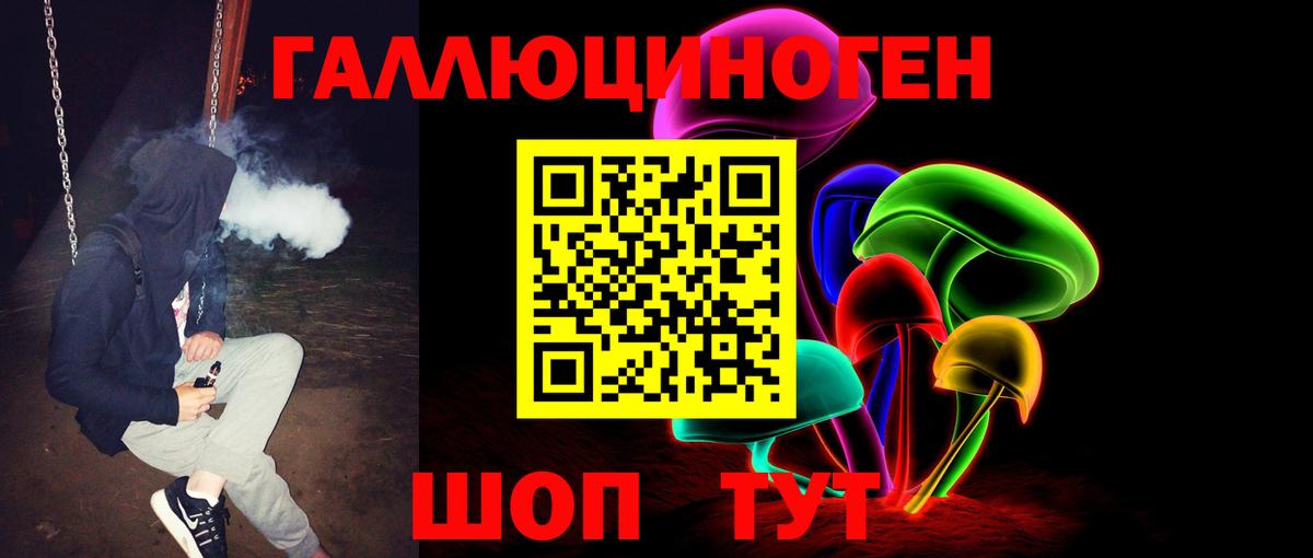Псилоцибиновые грибы Psilocybine cubensis Биробиджан